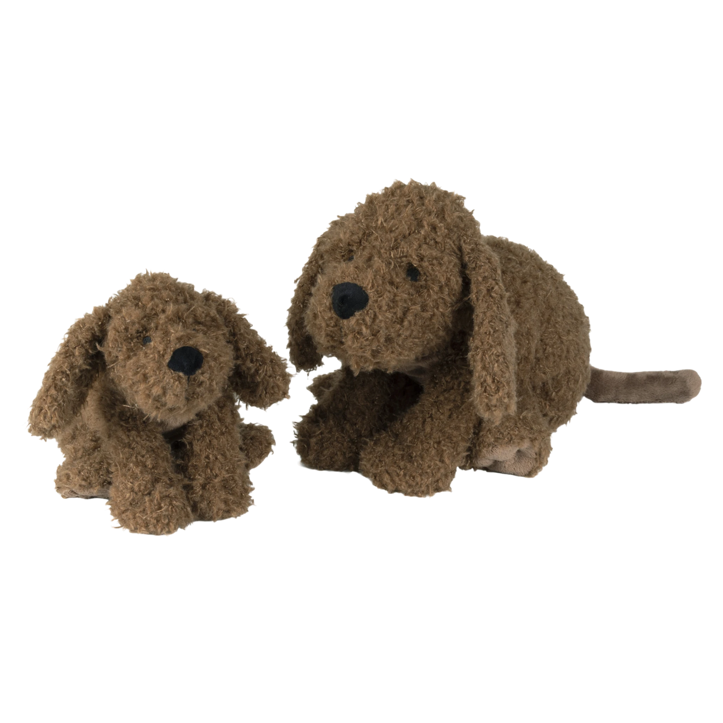 Labradoodle Larry