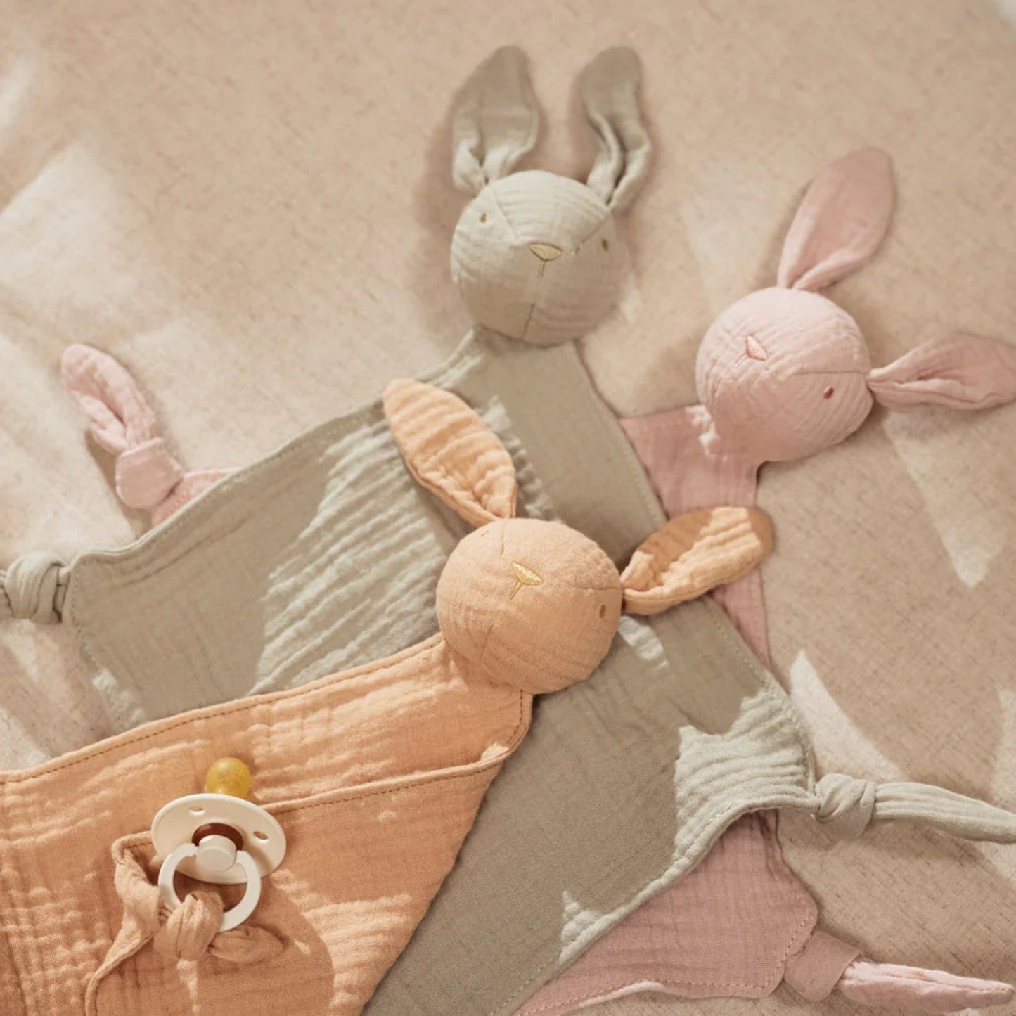 Tuttle Bunny ears