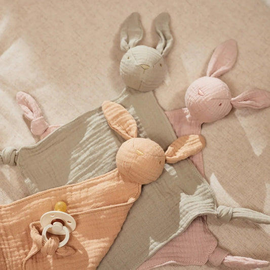 Tuttle Bunny ears