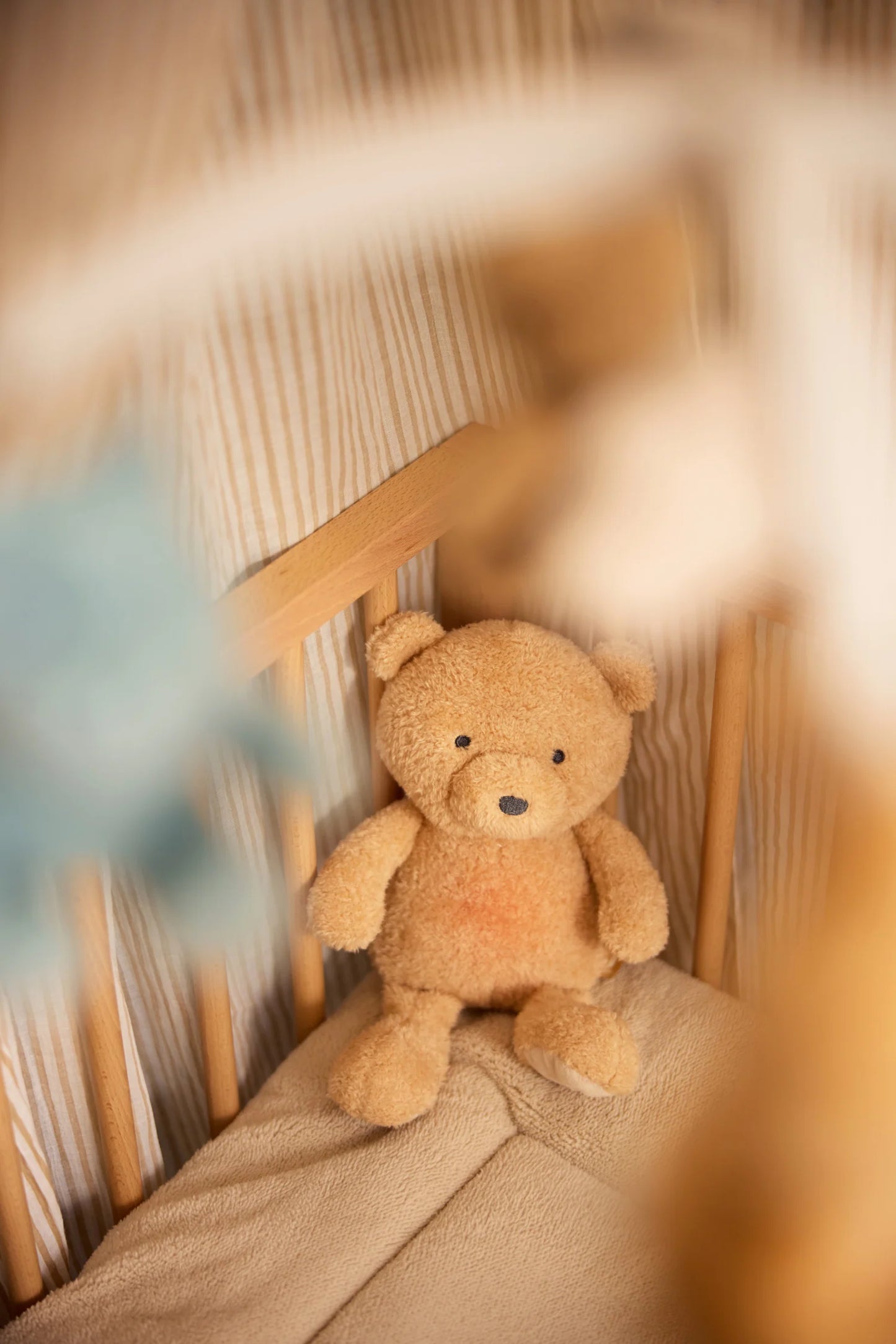 Bear Brave met Licht en Geluid