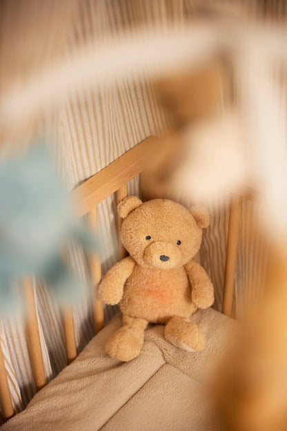 Bear Brave met Licht en Geluid