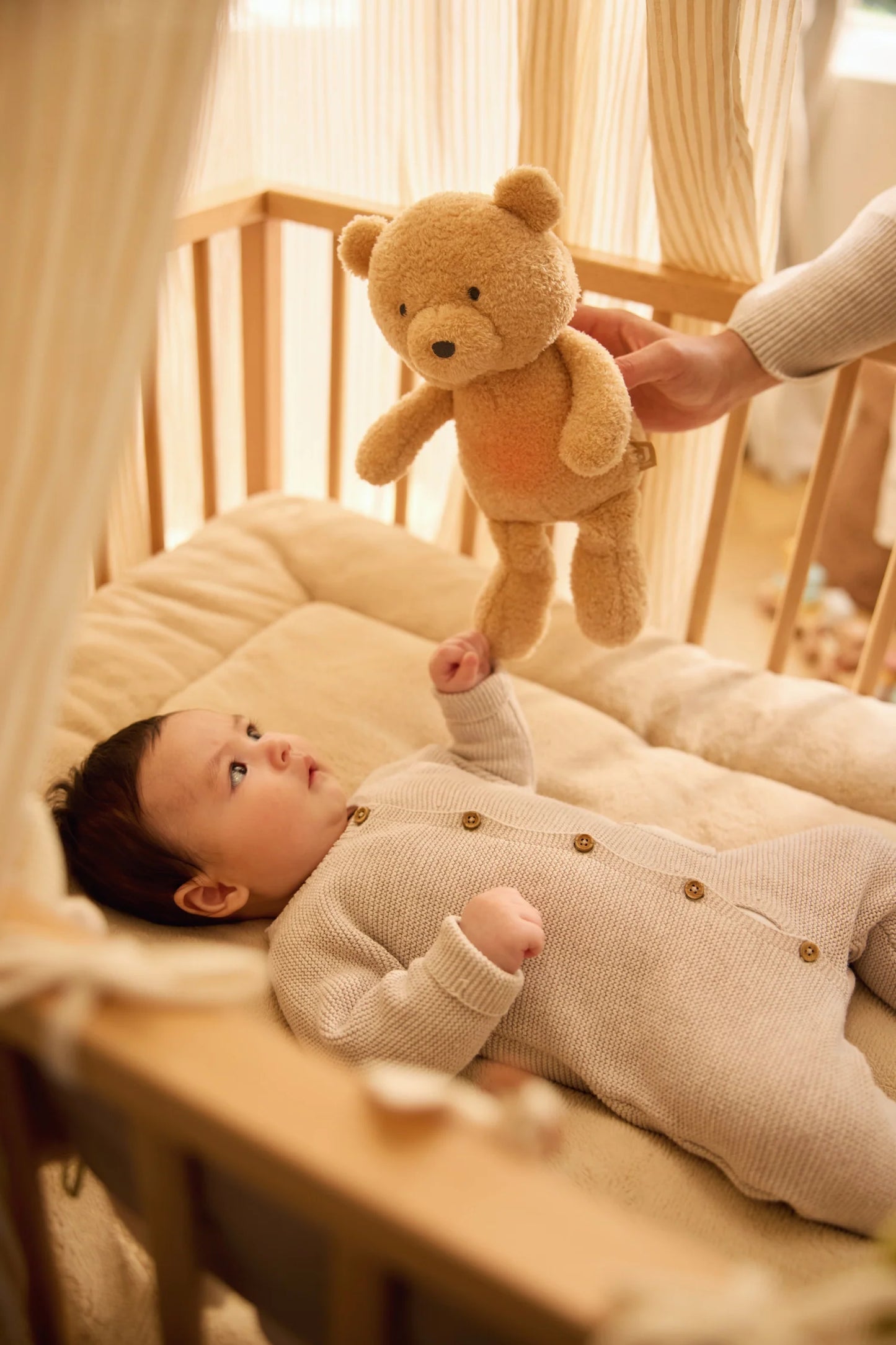 Bear Brave met Licht en Geluid