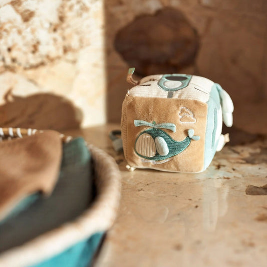 Activity Cube On The Go