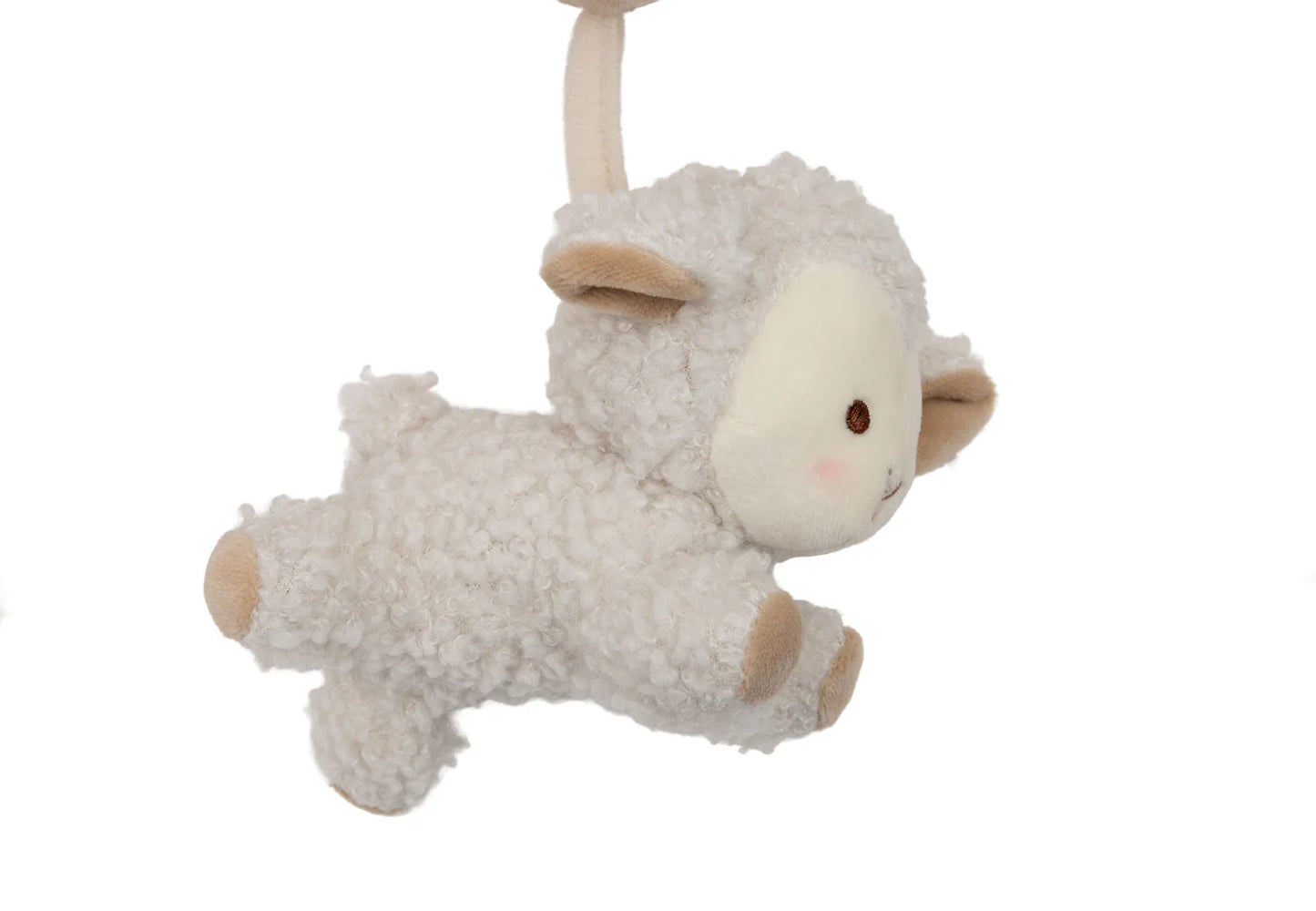 Activiteitenspiraal - Woolly