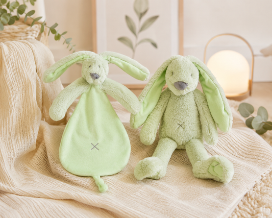 Rabbit Richie Recycled 38cm en Rabbit Richie Recycled Tuttle